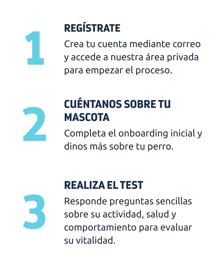 pasos a seguir test perro senior