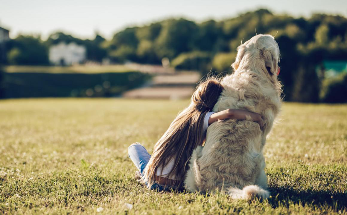 Puntura di vespa nel cane, cosa fare?