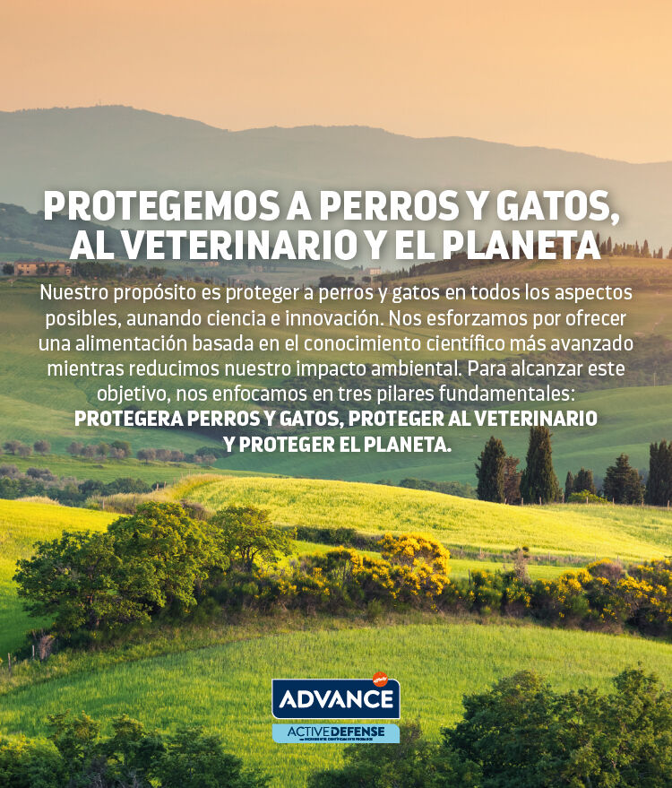 ADV Banner header sostenibilidad desktop.jpg