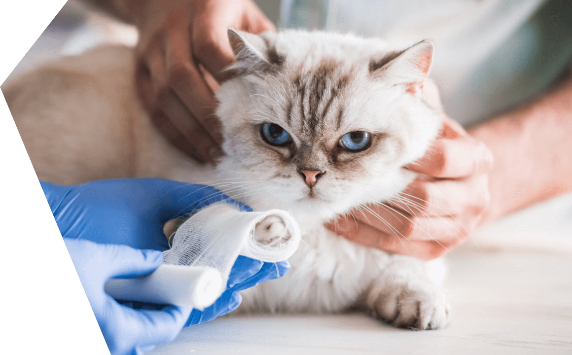 Come trattare piccole ferite