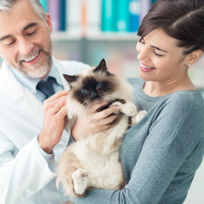 &Delta;&iota;ά&rho;&rho;&omicron;&iota;&alpha; &sigma;&tau;&iota;&sigmaf; &Gamma;ά&tau;&epsilon;&sigmaf;: &Alpha;ί&tau;&iota;&alpha;, &Tau;ύ&pi;&omicron;&iota; &kappa;&alpha;&iota; &Theta;&epsilon;&rho;&alpha;&pi;&epsilon;&upsilon;&tau;&iota;&kappa;έ&sigmaf; &Sigma;&upsilon;&sigma;&tau;ά&sigma;&epsilon;&iota;&sigmaf;