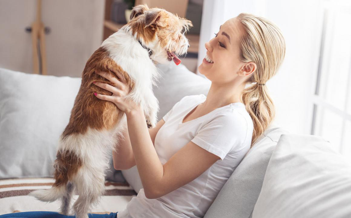 &iquest;Por qu&eacute; son necesarios los antioxidantes para perros?