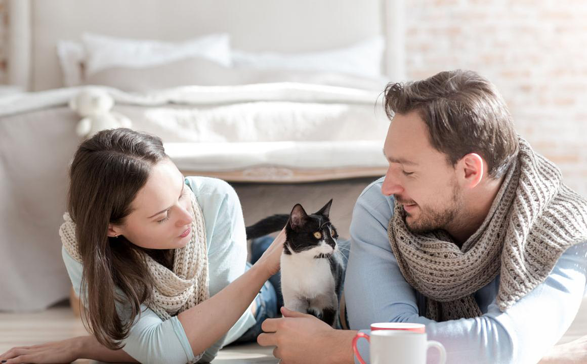 Mon chat vomit des boules de poils