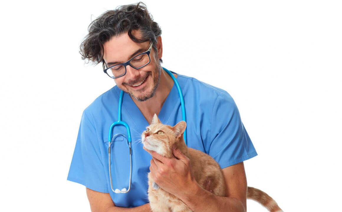 Mi gato tiene caspa, &iquest;c&oacute;mo la trato?