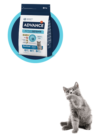 ADV Banner subhome gato desktop.png