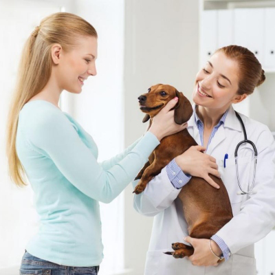 Les causes de l&rsquo;alop&eacute;cie chez le chien