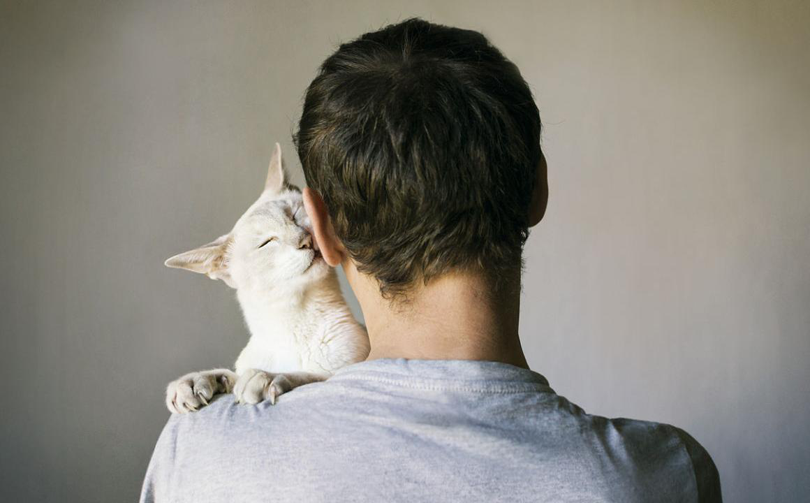 Come sapere quando un gatto ti sceglie