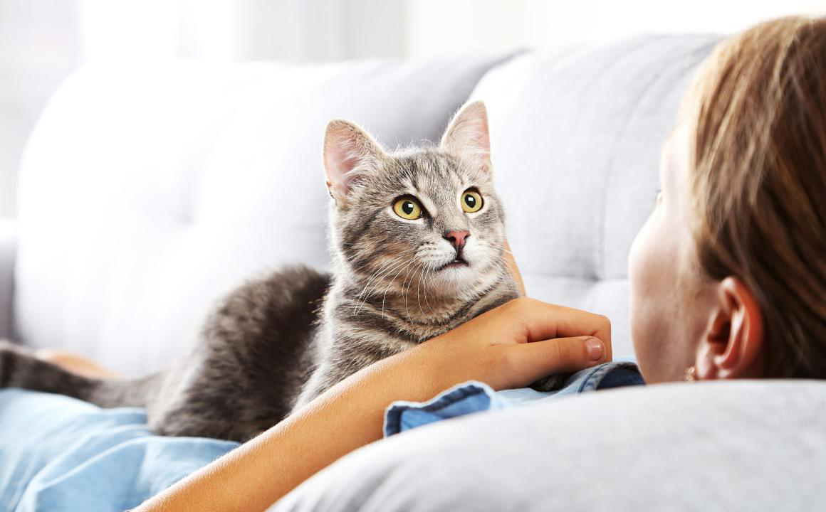 Mijn kat eet niet. Wat kan ik doen?