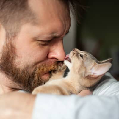 KEDİM BENİ YALIYOR: NEDENİNİ BİLMEK İSTER MİSİNİZ?