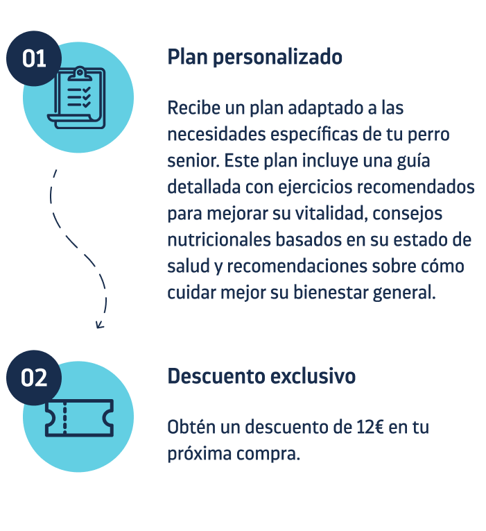test perro senior
