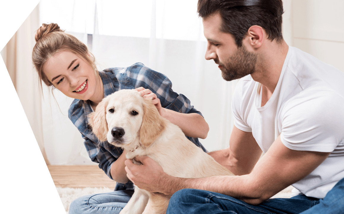 Equivalenze dell&rsquo;et&agrave;tra tra te e il tuo cane