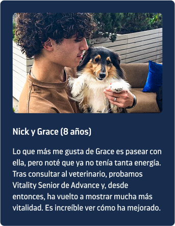 testimonio perro senior