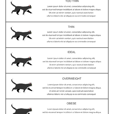 Tabla de peso ideal para gatos por edad y su raza