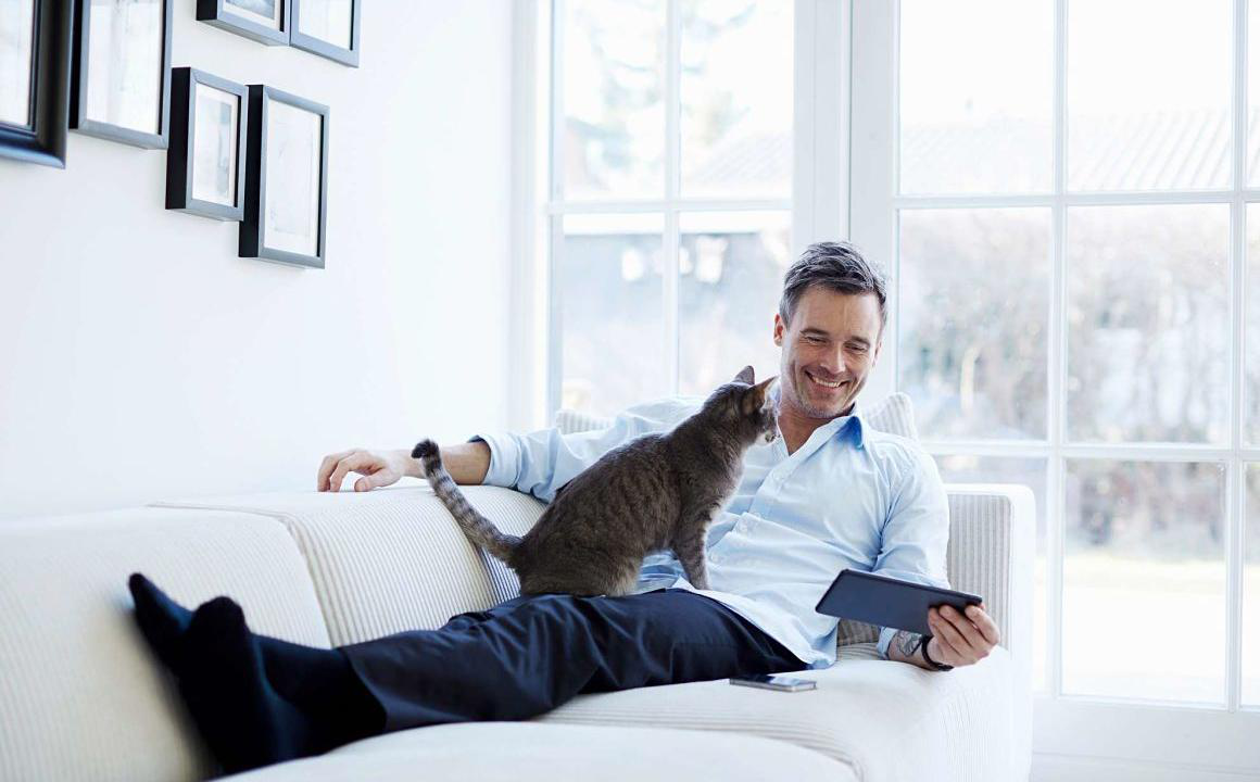 Gatto alito cattivo: a cosa &egrave; dovuto?