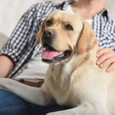 &Lambda;&Alpha;&Mu;&Pi;&Rho;&Alpha;&Nu;&Tau;&Omicron;&Rho; &Rho;&Iota;&Tau;&Rho;&Iota;&Beta;&Epsilon;&Rho;