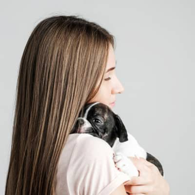 &iquest;Por qu&eacute; mi perro grita de dolor de repente cuando lo cojo?