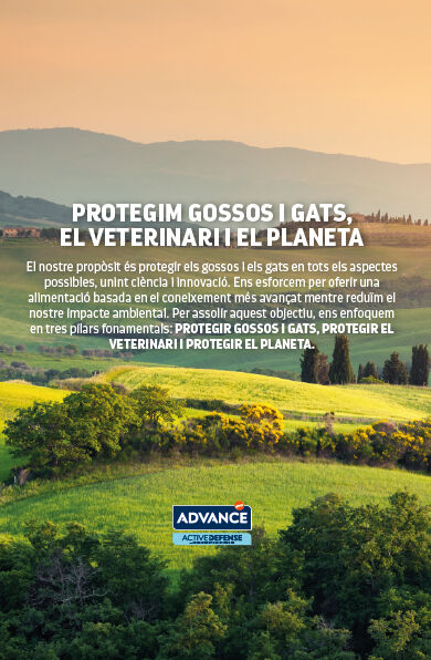ADV_Banner_Sostenibilidad_MAR2026_CAT_DESKTOP.jpg