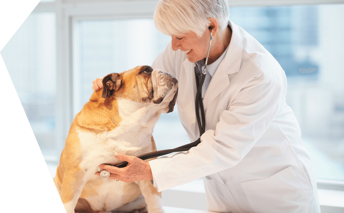 Respiratory diseases