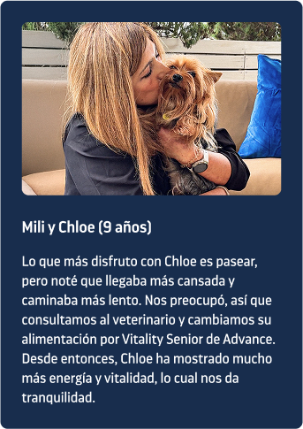 testimonio perro senior