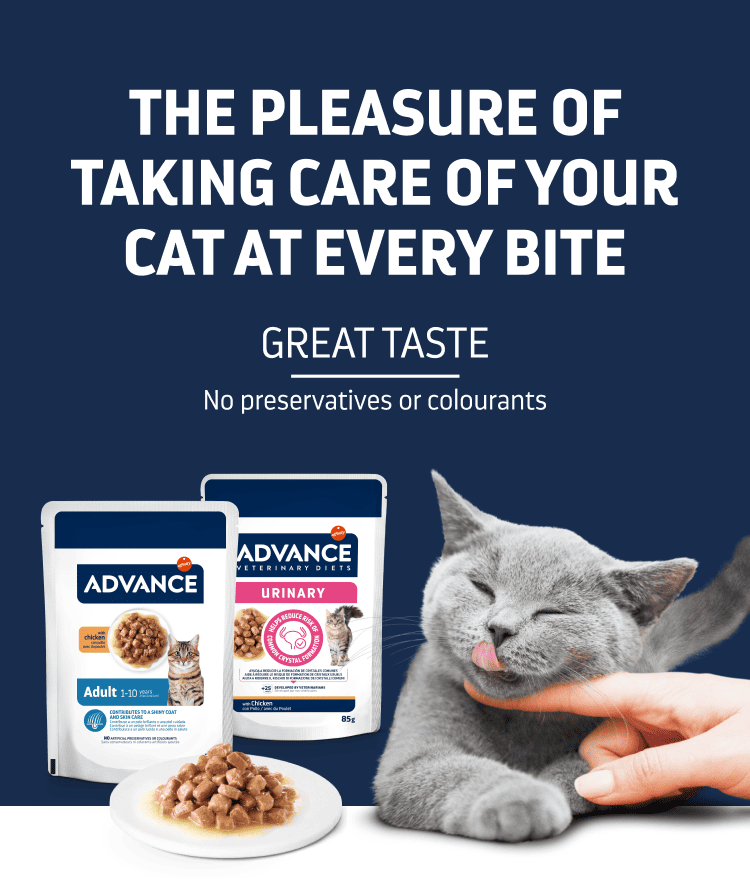 Veterinary diets