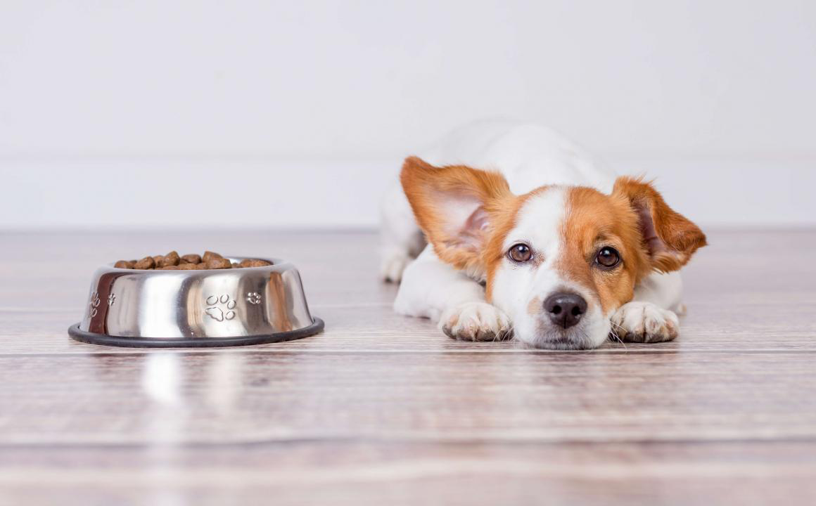 Problemas para tragar: la disfagia