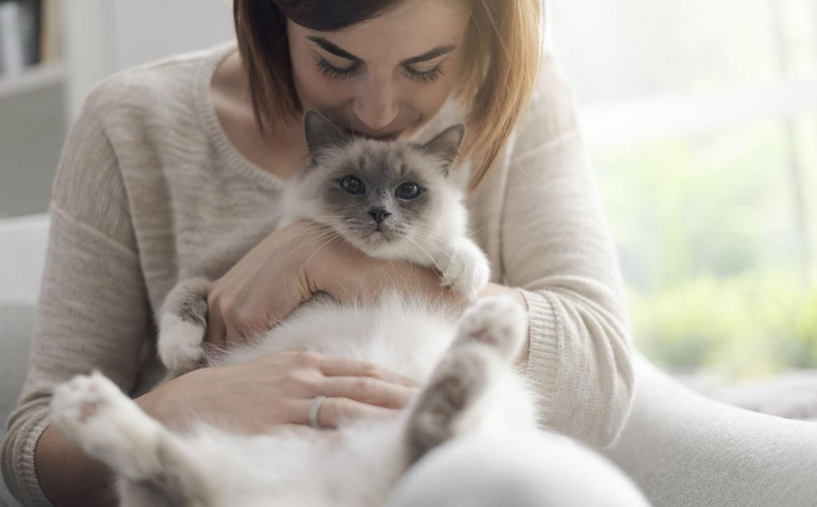 &iquest;Se puede usar el Betadine en gatos?
