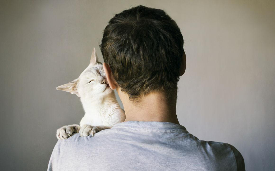 Qu&eacute; sucede cuando un gato te elige