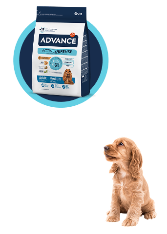 ADV Banner subhome perro desktop.png