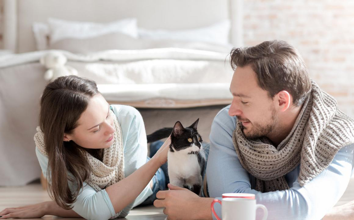 Mi gato vomita bolas de pelo