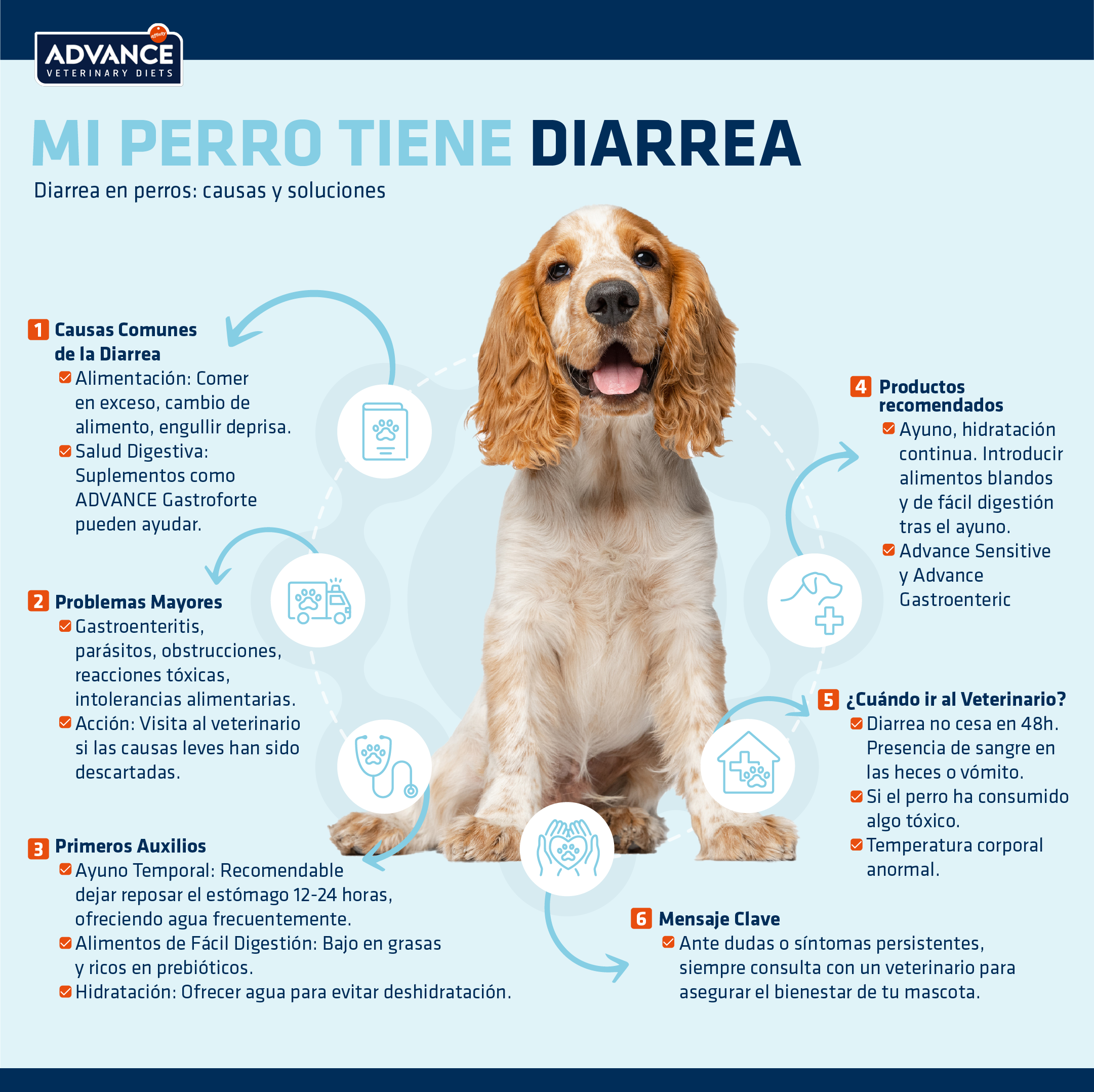 Vómitos y Diarrea en Perros.png