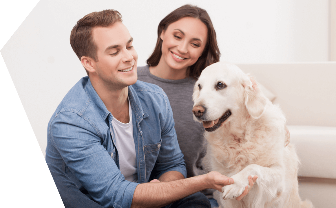 Il comportamento del tuo cane