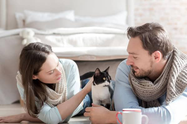 GATTI CHE VOMITANO PALLE DI PELO