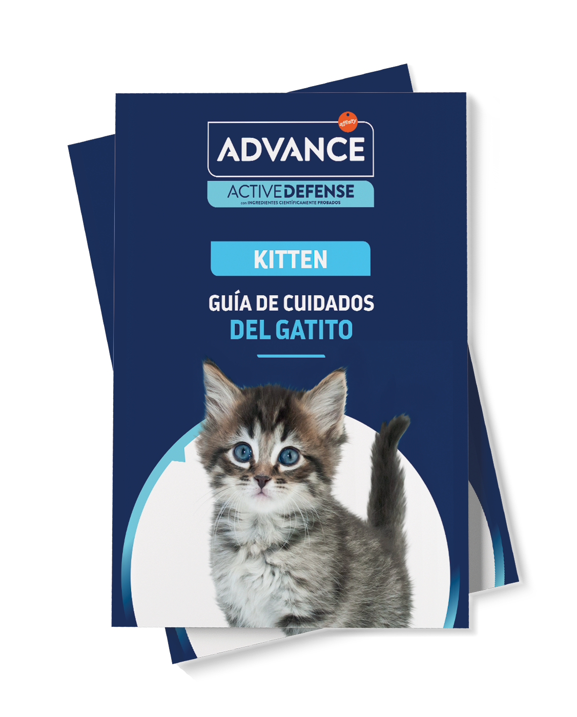 Mockup gu&iacute;a kitten portada.png