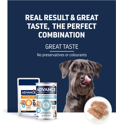 Veterinary diets