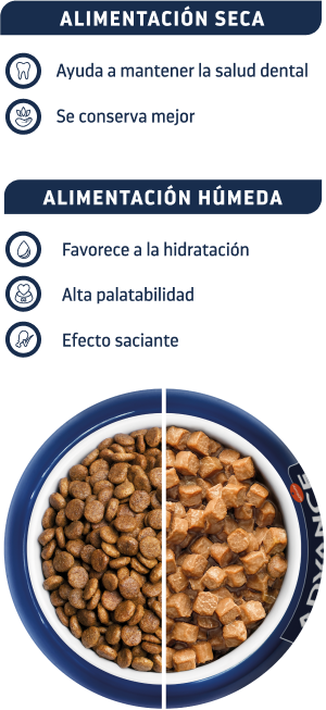 Bol dietas húmedas