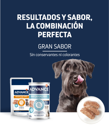 Dietas veterinarias