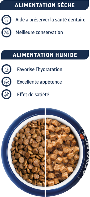 Bowl régimes humides