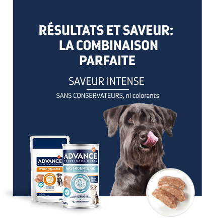 Régimes vétérinaires