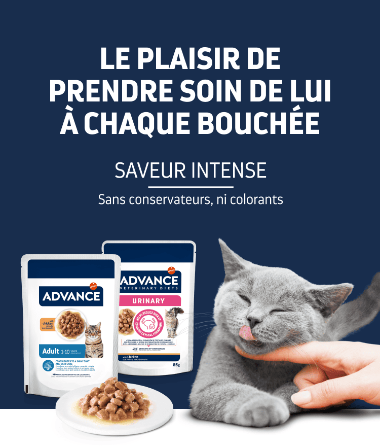 Régimes vétérinaires