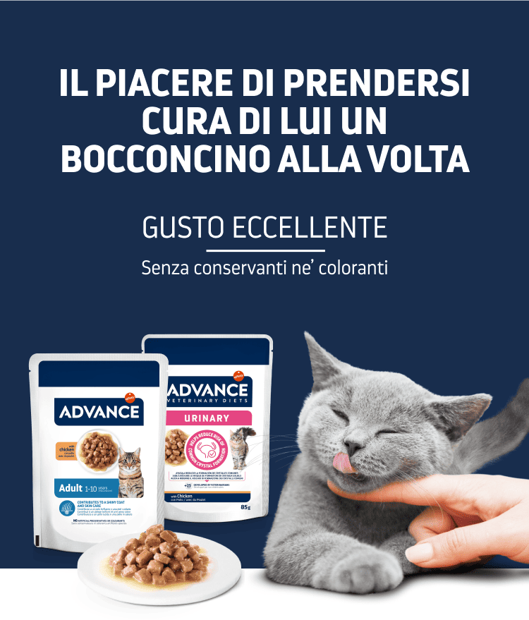 Diete veterinarie