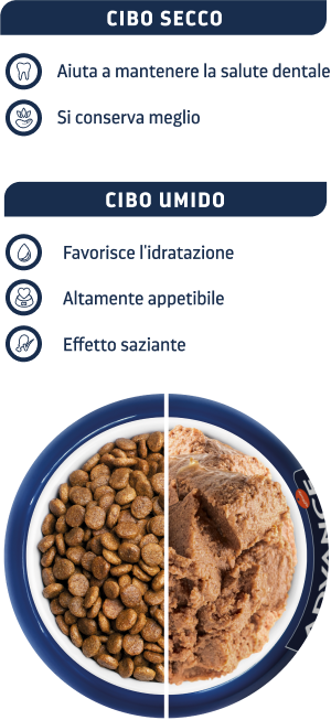 Bowl dieta umida