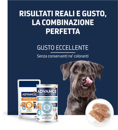 Diete veterinarie