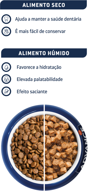 Bowl dietas húmidas