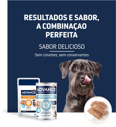 Dietas veterinárias
