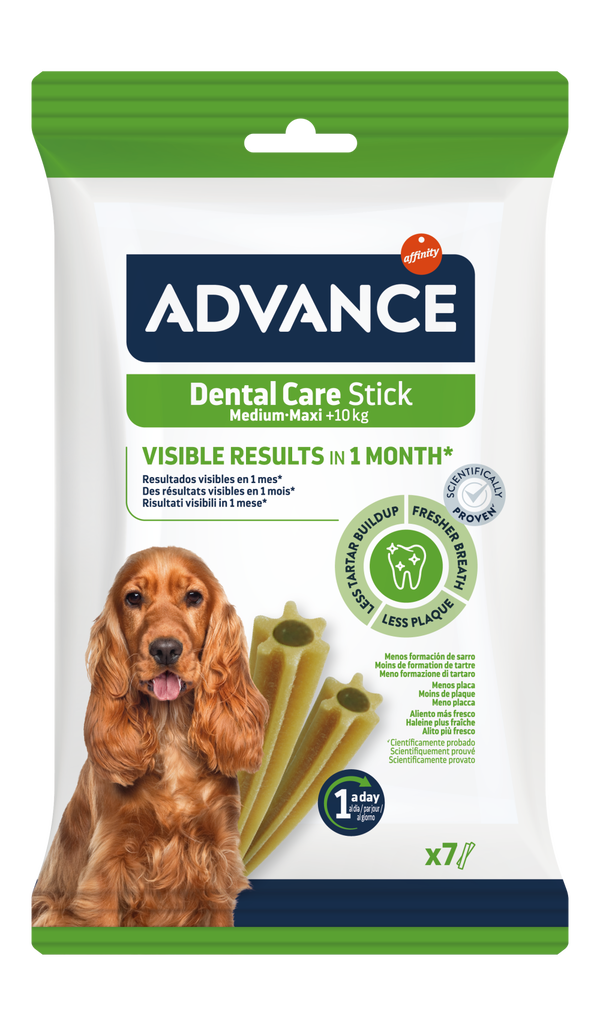 DENTAL CARE STICK MEDIUM/MAXI
