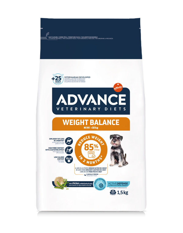 WEIGHT BALANCE MINI