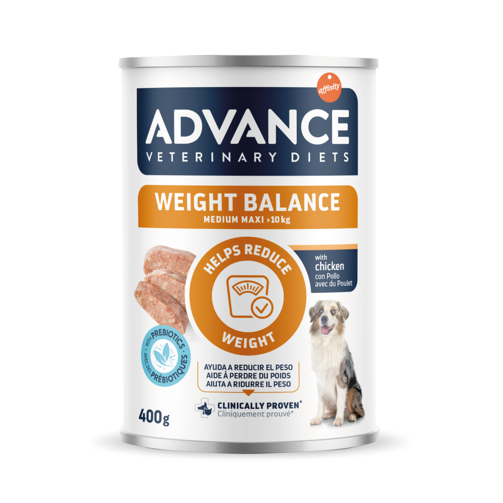 WEIGHT BALANCE MEDIUM-MAXI