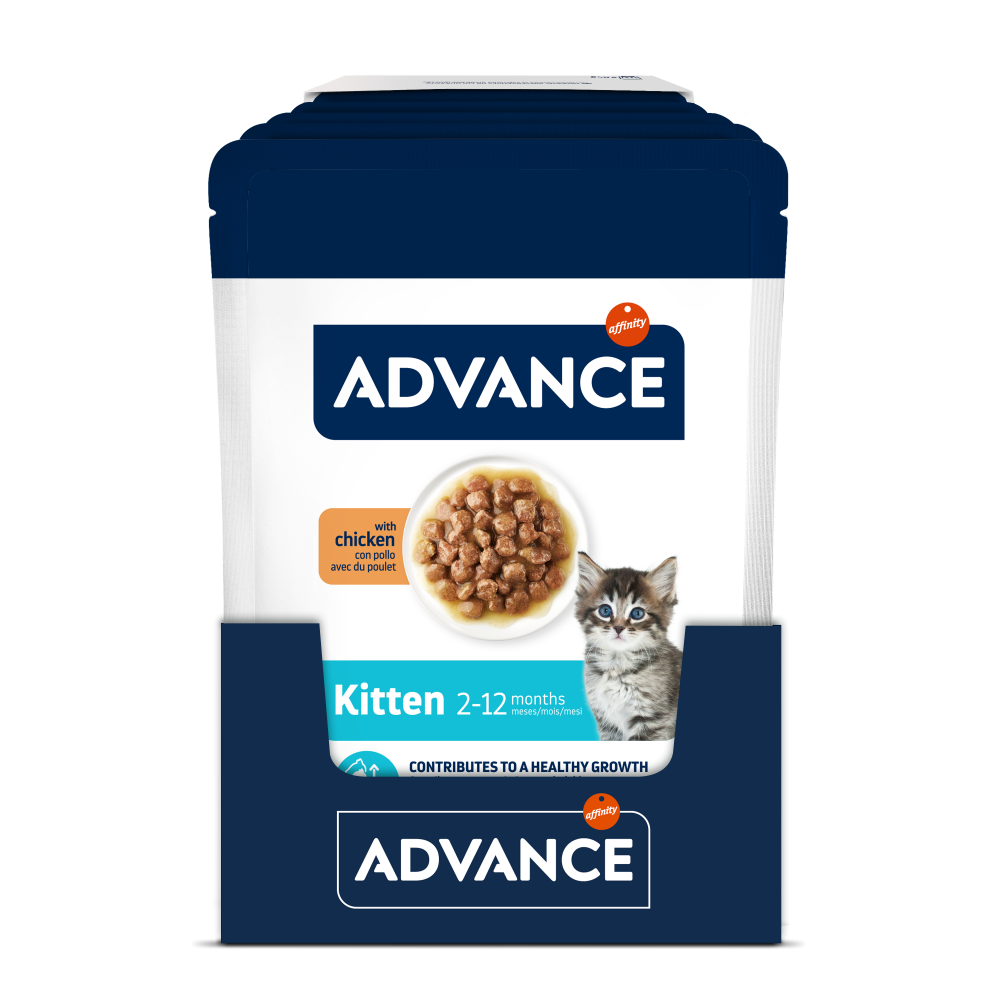 BOCADITOS EN SALSA KITTEN CON POLLO