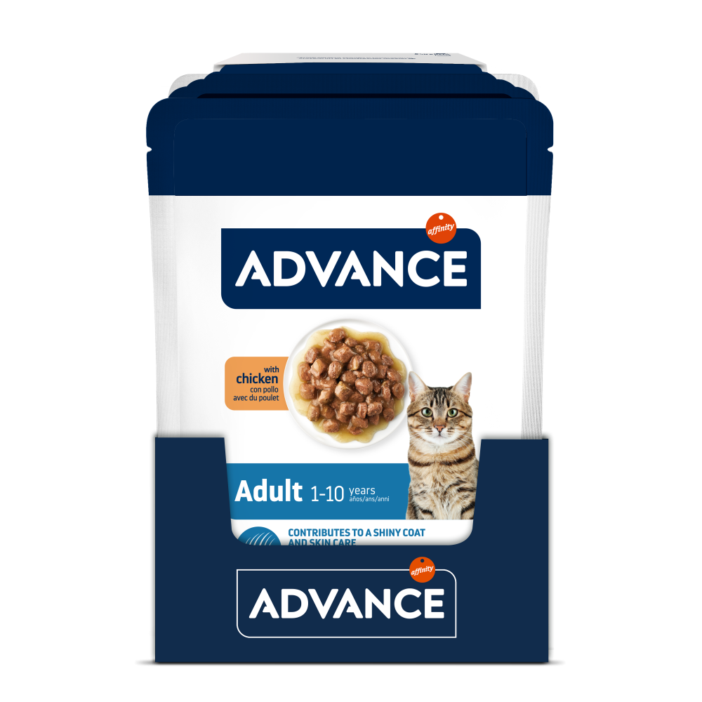 BOCADITOS EN SALSA ADULT CON POLLO