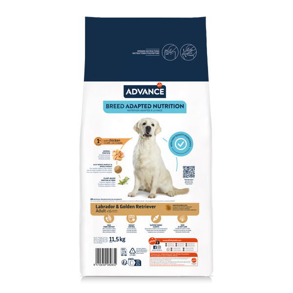 LABRADOR & GOLDEN RETRIEVER